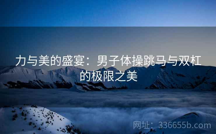 力与美的盛宴：男子体操跳马与双杠的极限之美