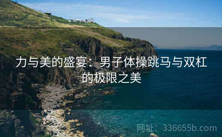力与美的盛宴：男子体操跳马与双杠的极限之美