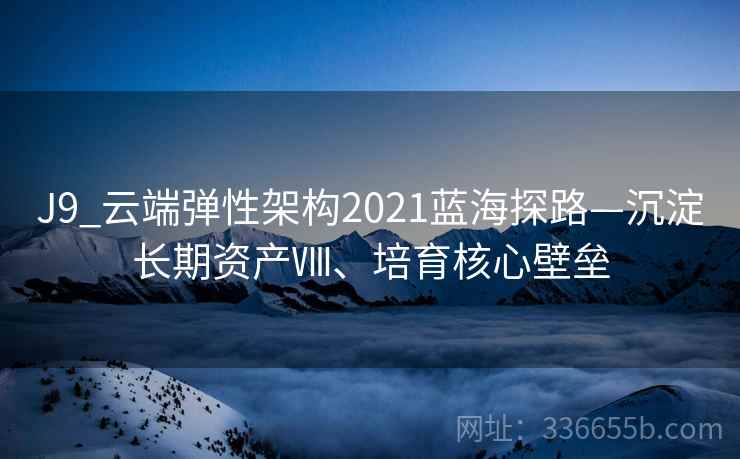 J9_云端弹性架构2021蓝海探路—沉淀长期资产Ⅷ、培育核心壁垒