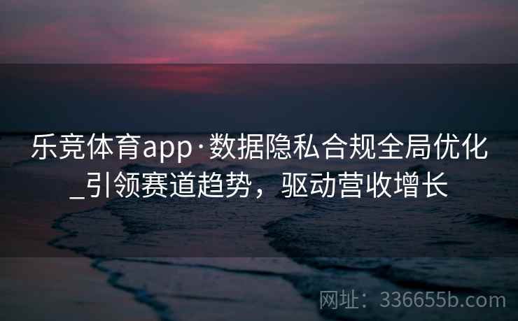 乐竞体育app·数据隐私合规全局优化_引领赛道趋势，驱动营收增长