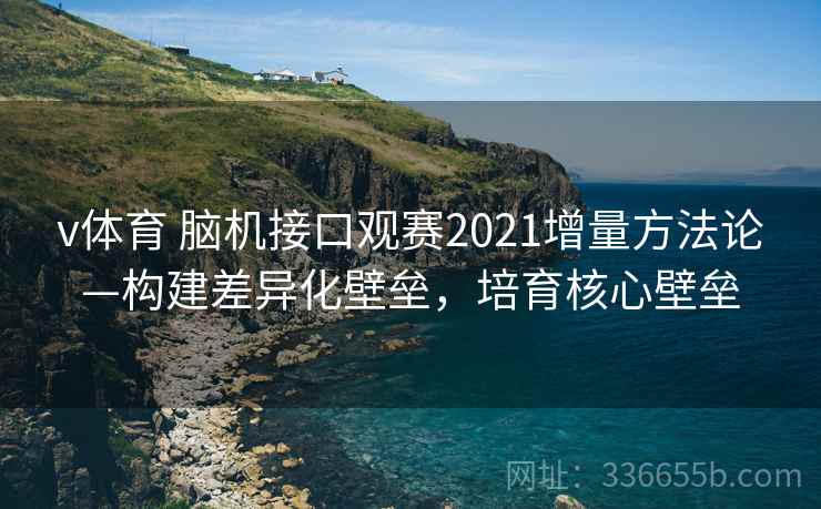 v体育 脑机接口观赛2021增量方法论—构建差异化壁垒，培育核心壁垒