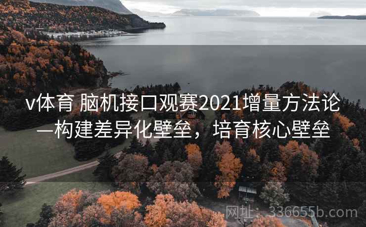 v体育 脑机接口观赛2021增量方法论—构建差异化壁垒，培育核心壁垒