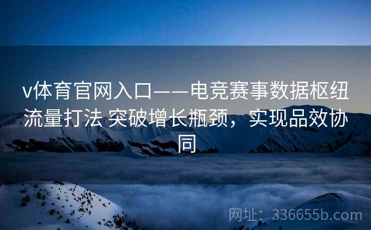 v体育官网入口——电竞赛事数据枢纽流量打法 突破增长瓶颈，实现品效协同